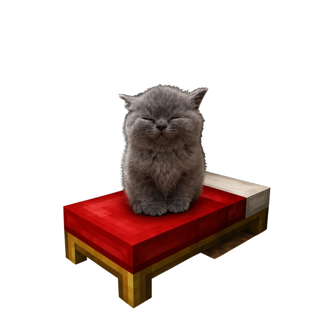 Cat On Bed sitting on a red bed